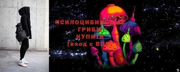 спайс Алексин