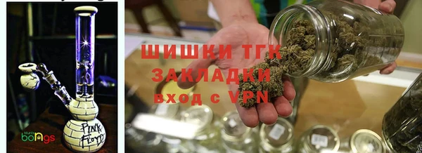 индика Абаза