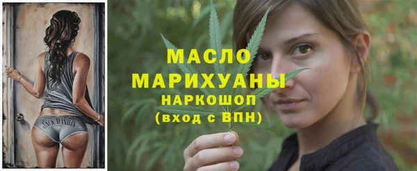 индика Абаза