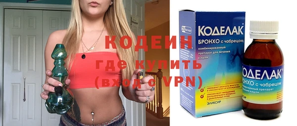 индика Абаза