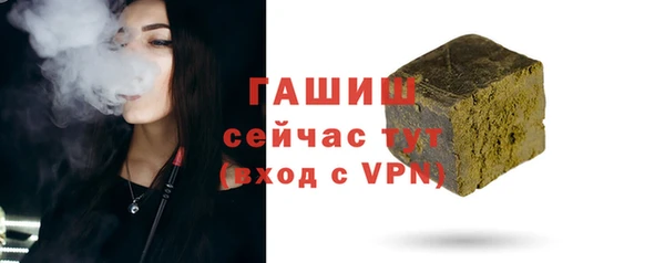 индика Абаза