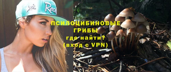 индика Абаза