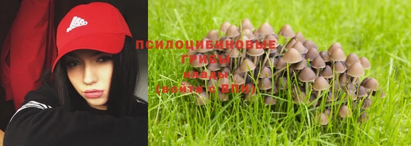индика Абаза